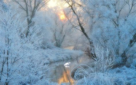 Frosty Winter Wallpapers - Top Free Frosty Winter Backgrounds ...