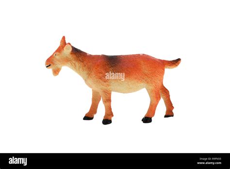 Plastic Toy Goat Isolated Over White Background Stock Photo Alamy