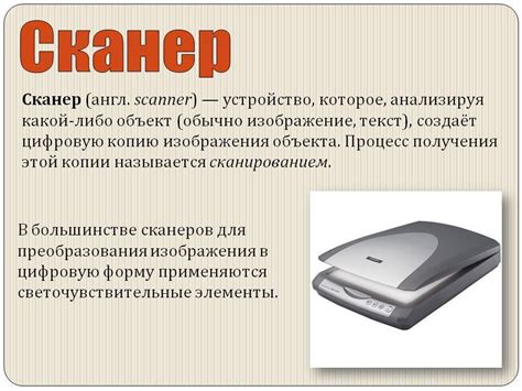 Выбираем домашний сканер — виды, характеристики и назначение