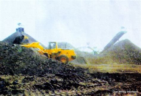 coal mining indonesia
