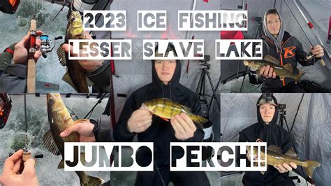 Lesser Slave Lake Ice Fishing Jumbo Perch Youtube