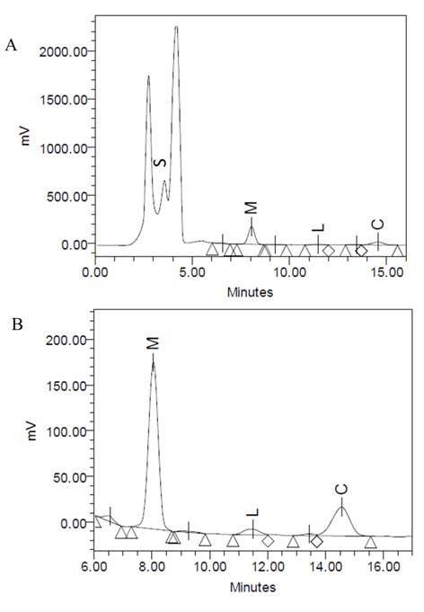 Representative HPLC ELSD Chromatogram Of A Human Urine Sample After