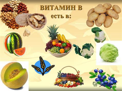 В каких продуктах содержатся витамины группы В — Медицинская карта
