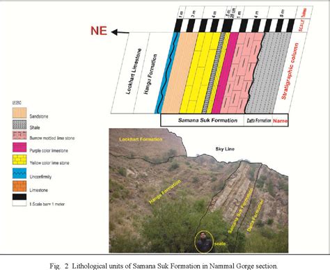 Figure 1 From Sedimentology Sequence Stratigraphy And Reservoir