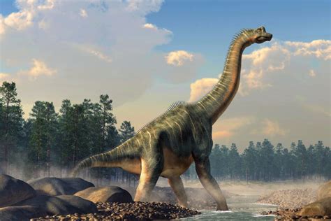 Largest Dinosaur Skeleton In Europe Discovered In Portugal Earth