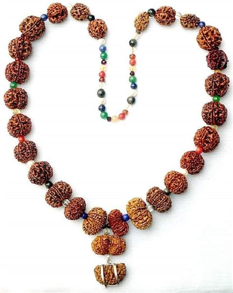 Nepali Sidh Rudraksha Mala Spiritual Use Japa At Rs 30000 In Vadodara