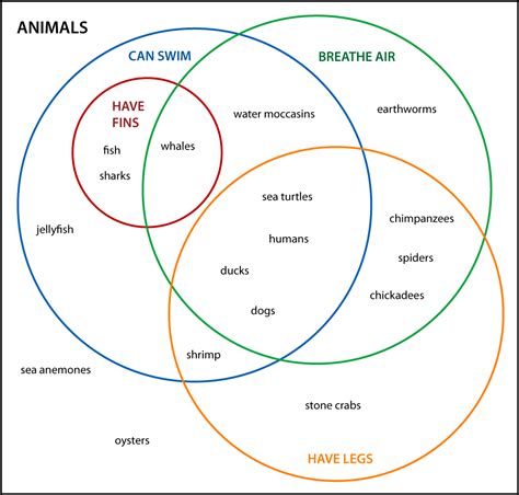 How To Determine Things With Venn Diagrams Analysing And Cre