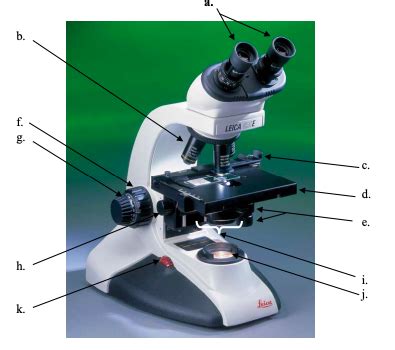 Unit Microscopy Flashcards Quizlet