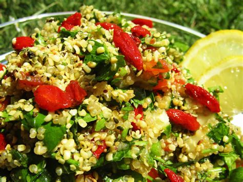 Goji Bessen Salade Met Geroosterd Hennepzaad Superfood4Me