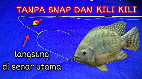 Rangkaian Pancing Buat Mancing Ikan Nila Atau Ikan Mujair Youtube