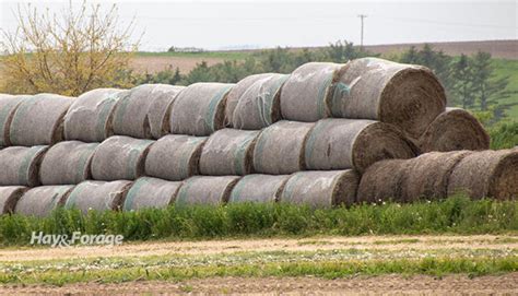 The Round Bale Conundrum Hay And Forage Magazine