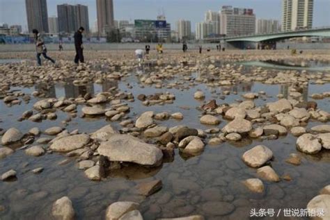 河灘成為撿玉石的好地方，那些白色的石頭是什麼？是不是玉石呢？ 每日頭條