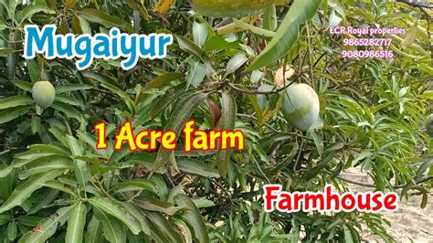 Id Acre Ecr Farmhouse For Sale Koovathur Mugaiyur Sipcot North