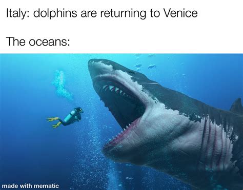 Oh shit mate, it’s the Megalodon! : r/memes