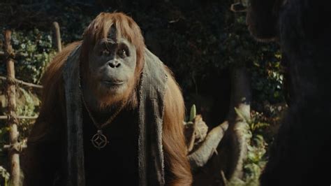 La Plan Te Des Singes Le Nouveau Royaume En Streaming Vf