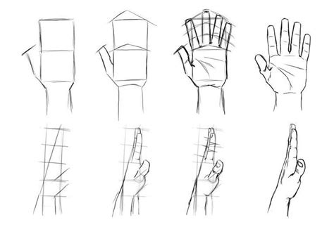 hand drawing reference guide drawing referenc
