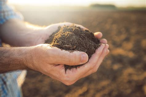 understanding  soil report      blog peforhirecom understanding  soil