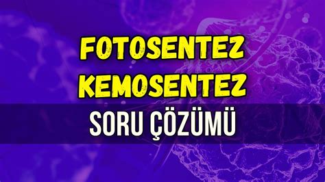 FOTOSENTEZ KEMOSENTEZ SORU ÇÖZÜMÜ Seda Hoca Biyoloji ayt2024 YouTube