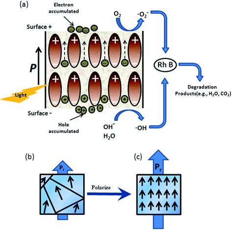 Enhanced Photocatalytic Activity On Polarized Ferroelectric Knbo