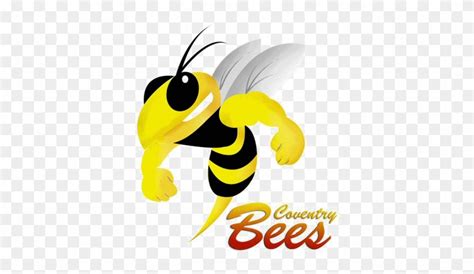 Fighting Bee Photo Coventry Bees Free Transparent Png Clipart