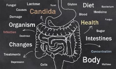 3 Symptoms of Candida & 3 Ways to Treat it