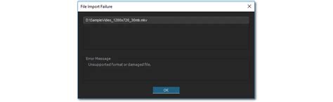 How To Fix The Adobe Premiere Pro MKV Importing Issue