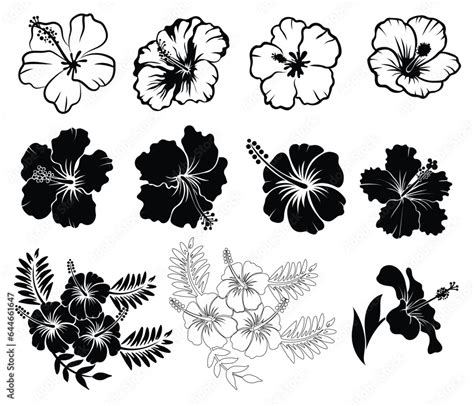 Vetor De Collection Of Hibiscus Flower Silhouettes Outlined Vetor