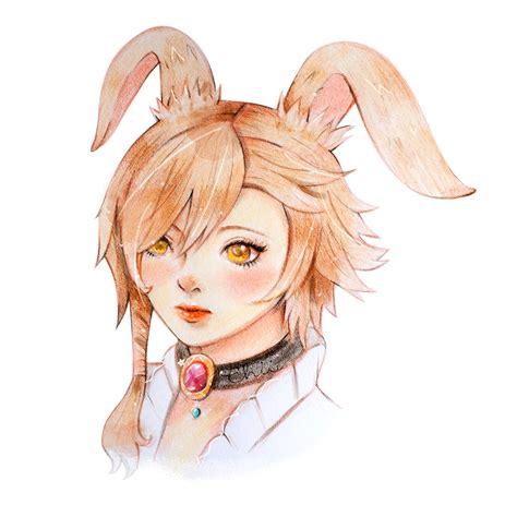 viera portrait rffxiv