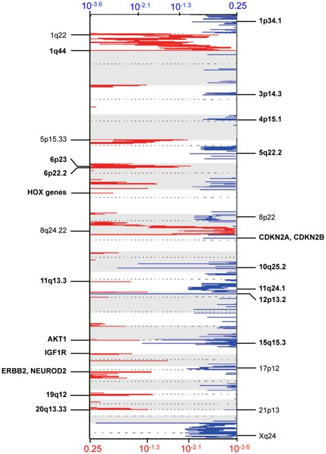 DNA Copy Number Analysis Of Breast Brain Metastasis GISTIC Analysis