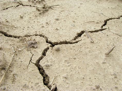 Tremors Felt In Chitral Swat And Lower Dir