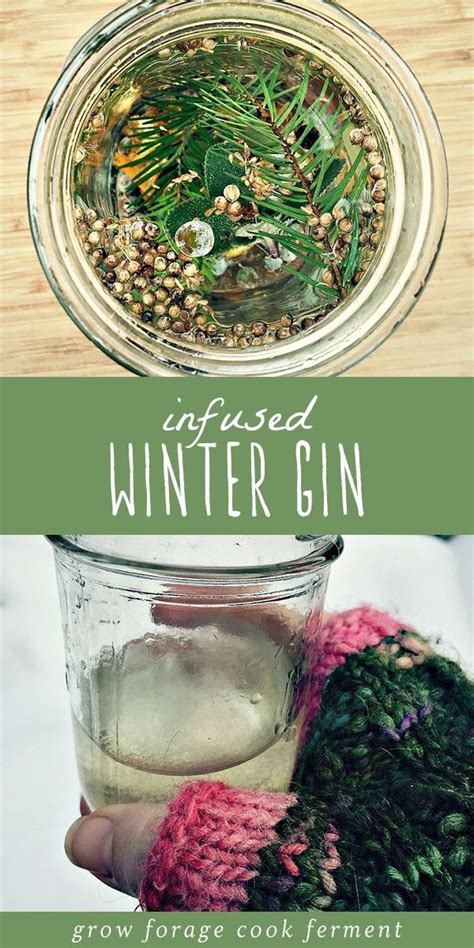 Homemade Infused Gin Foraged Botanical Winter Spirits Recipe