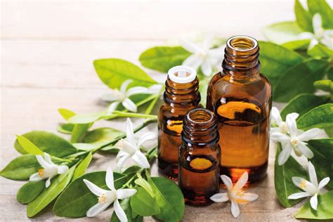 Yoga and Aromatherapy - Neroli Oil | Om Yoga Magazine