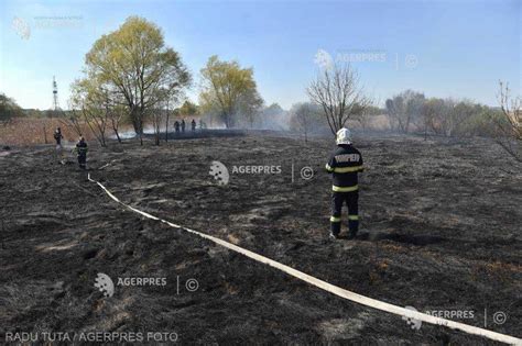 Isubif Incendiul Din Delta V C Re Ti A Fost Stins