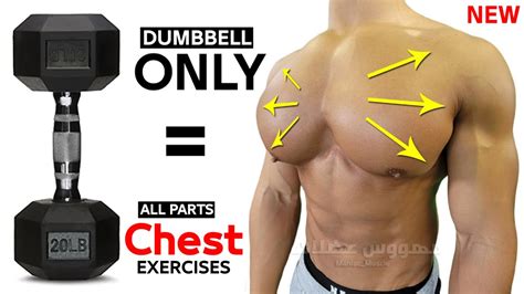 14 Best Chest Exercises With Dumbells Only 🎯 Youtube