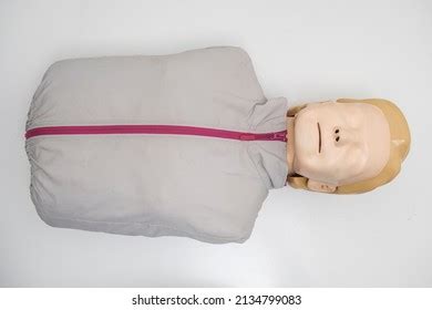 Manikin Cpr First Aid Basic Life Stock Photo 2134799083 | Shutterstock