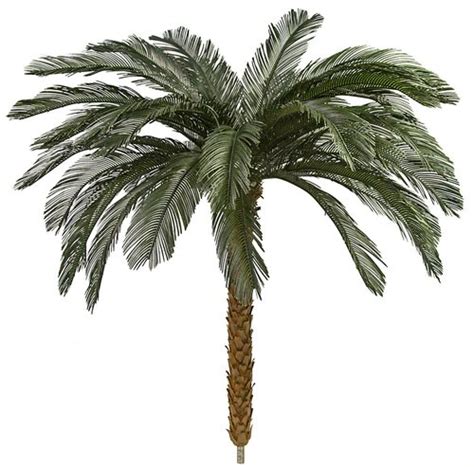 Earthflora Outdoor Artificial Palm Trees Topiaryplants 45 Feet 55 Feet 75 Feet 85