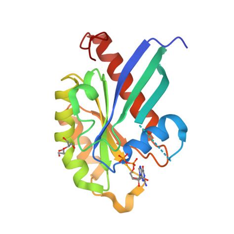 RCSB PDB 2BMD High Resolution Structure Of GDP Bound Human Rab4a