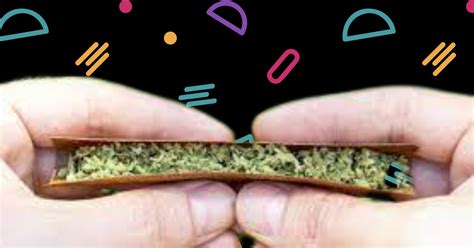 Rolling a Blunt - Step-by-Step Guide - Leaf Expert