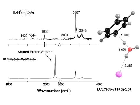 Infrared Spectroscopy Of Protonated Waterbenzene Clusters Tim Cheng