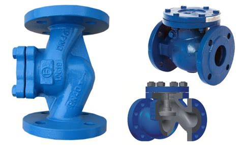 What Is a Globe Check Valve? Understanding the Basics