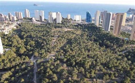 Parques De Benidorm Los Siete Mejores