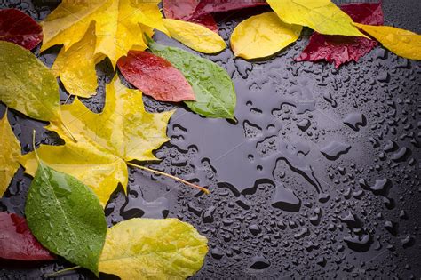 Autumn Rain | High-Quality Nature Stock Photos ~ Creative Market