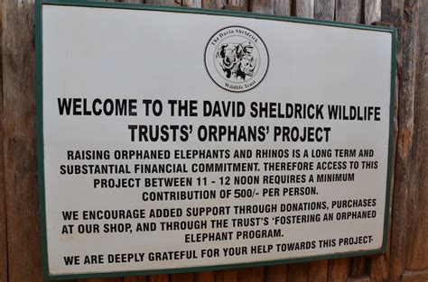 Visiting The David Sheldrick Wildlife Trust Travel Blog