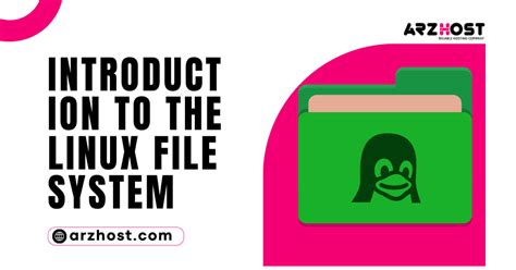 Introduction To The Linux File System