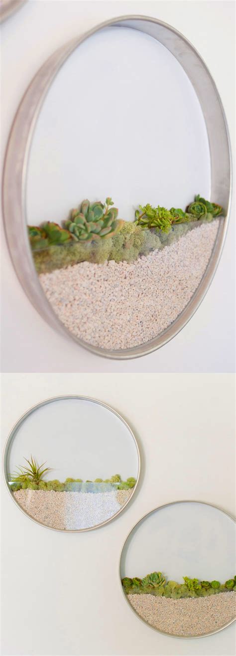 Circular Framed Planters Add Living Art To Your Walls Diy Wall Wall