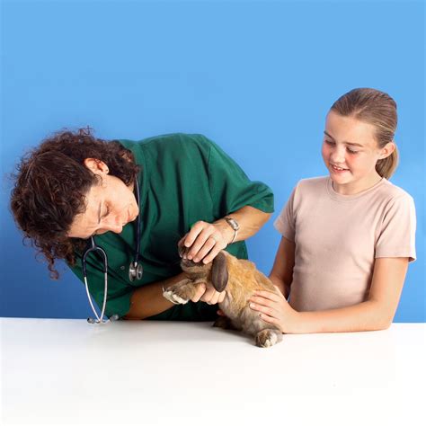 What Do Vets Do For Check Ups at Leon Hendricks blog