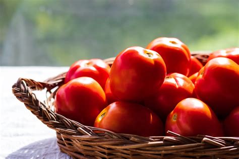 The Art of Harvesting Tomatoes: When and How to Pick the Perfect Fruit