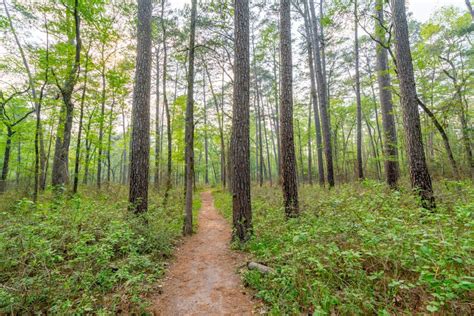 Texas Nature The Great Outdoors Archives Lone Star Travel Guide