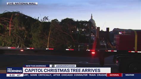 Us Capitol Christmas Tree Arrives In Dc Youtube