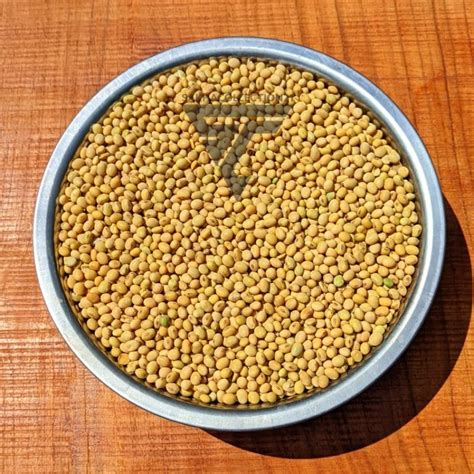 Jual Kg Kacang Kedelai Lokal Super Soy Bean Non Gmo Bahan Tempe